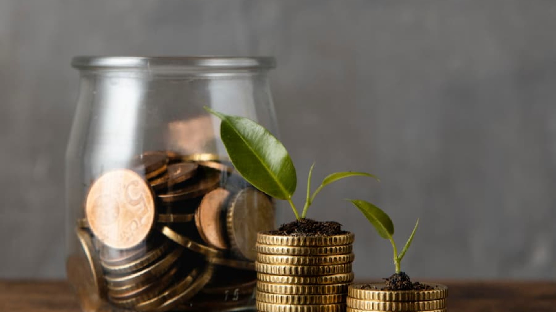 Shares and Shareholders: Dividends